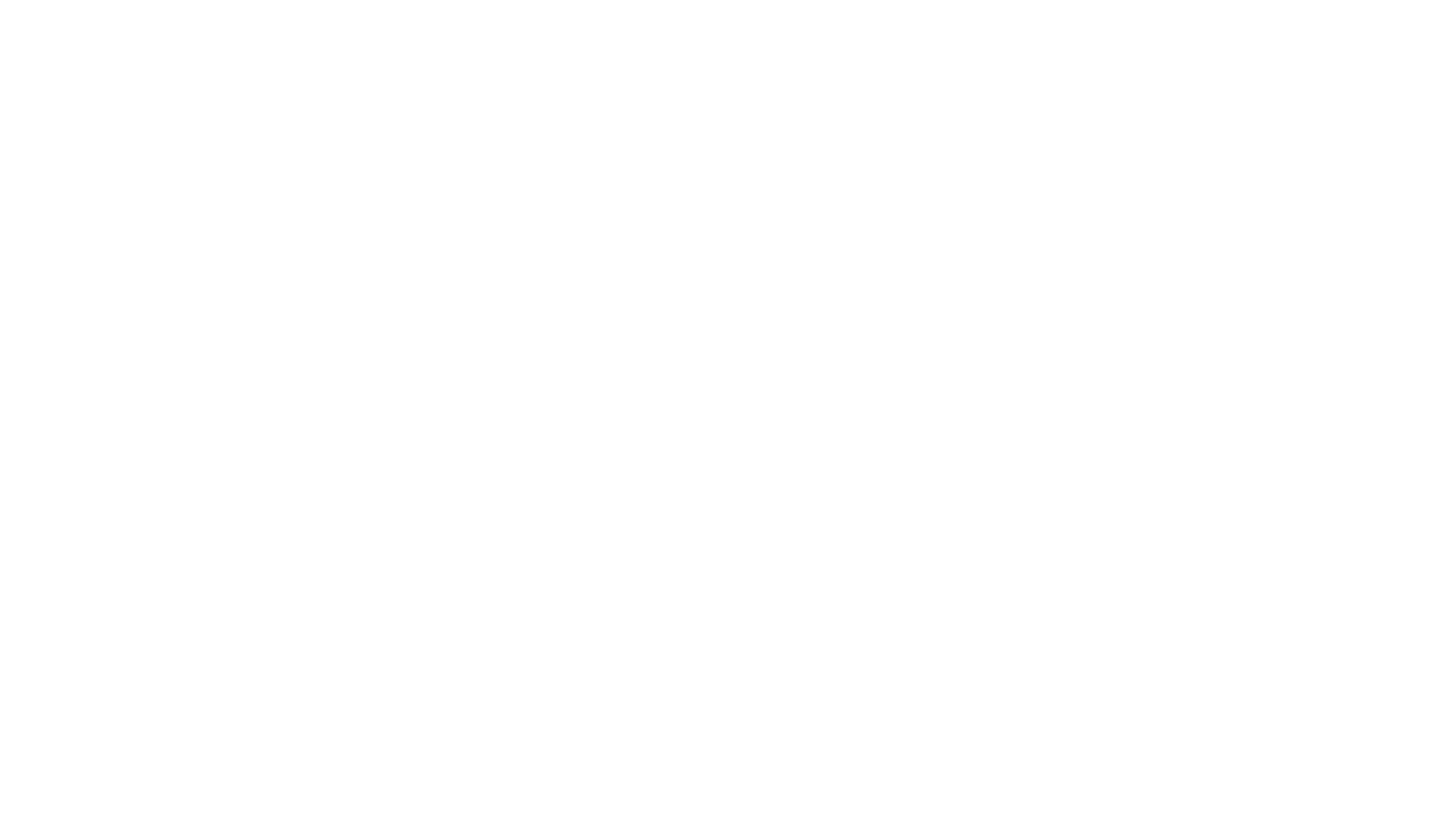 スライド画像